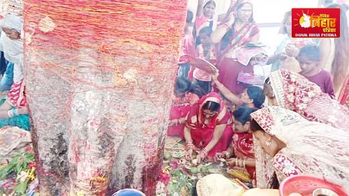 Vat Savitri worship in Khagaria