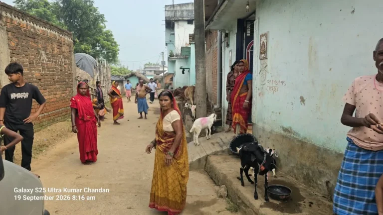 BOUNSI NEWS: सरकारी पीसीसी सड़क पर मवेशियों का कब्जा, मदारी गांव में आवागमन बना मुश्किल