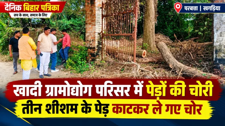 Khagaria News: खादी ग्रामोद्योग परिसर में पेड़ों की चोरी से हड़कंप, तीन शीशम काटकर ले गए चोर